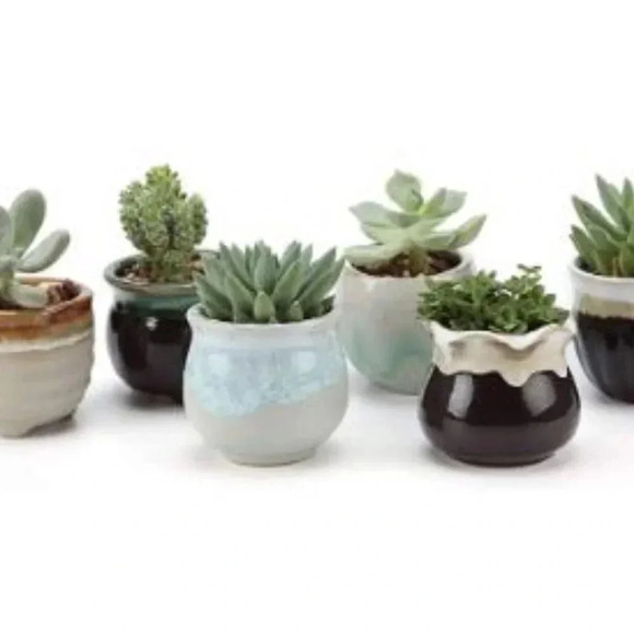 T4U Small Ceramic Succulent Pots Set of 6 - Picture 4 of 4